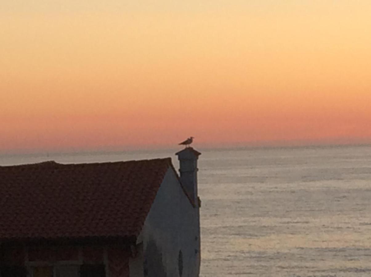 Face Mer Soorts-Hossegor Exterior foto